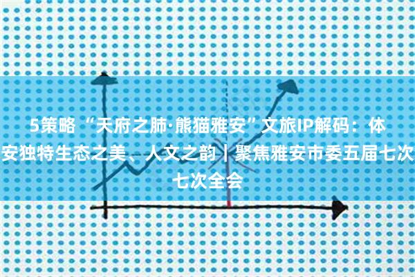 5策略 “天府之肺·熊猫雅安”文旅IP解码：体现雅安独特生态之美、人文之韵｜聚焦雅安市委五届七次全会