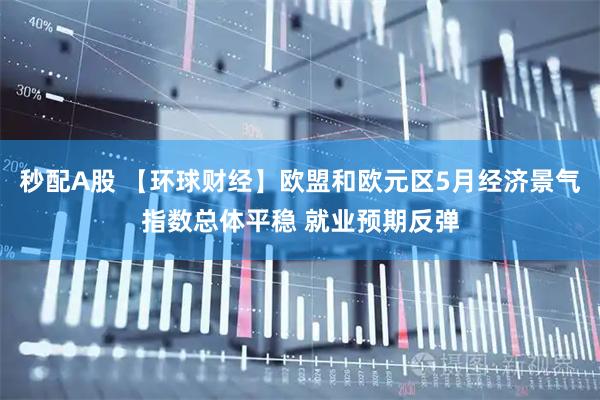 秒配A股 【环球财经】欧盟和欧元区5月经济景气指数总体平稳 就业预期反弹